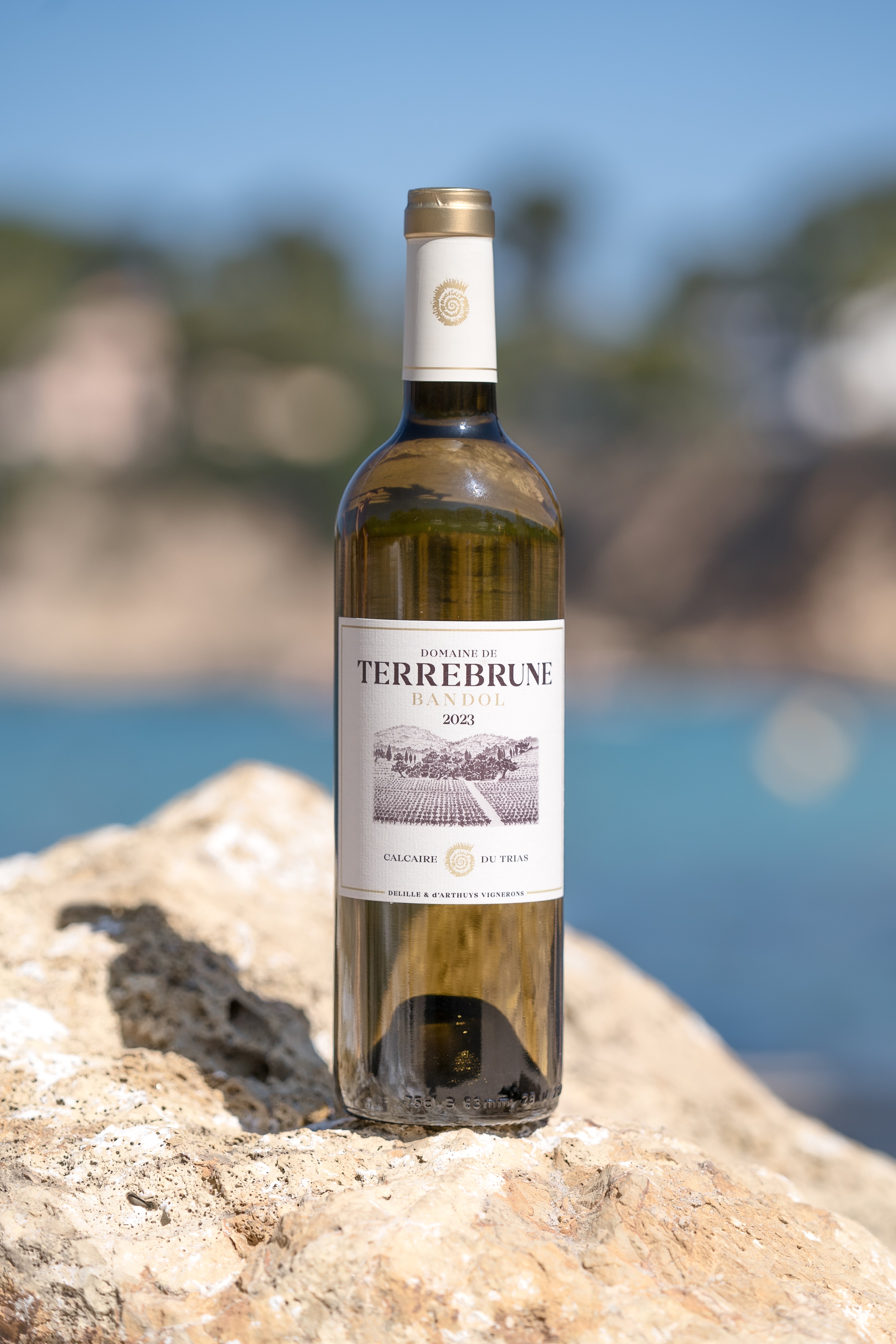 TERREBRUNE BLANC - AOP Bandol 2024